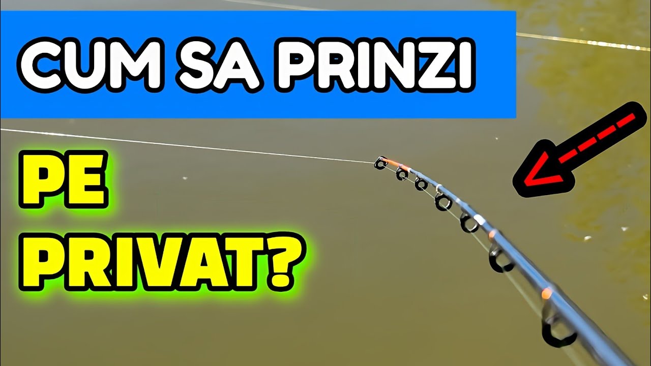CUM SA PRINZI PESTE IN PROHIBITIE PE O BALTA PRIVATA?