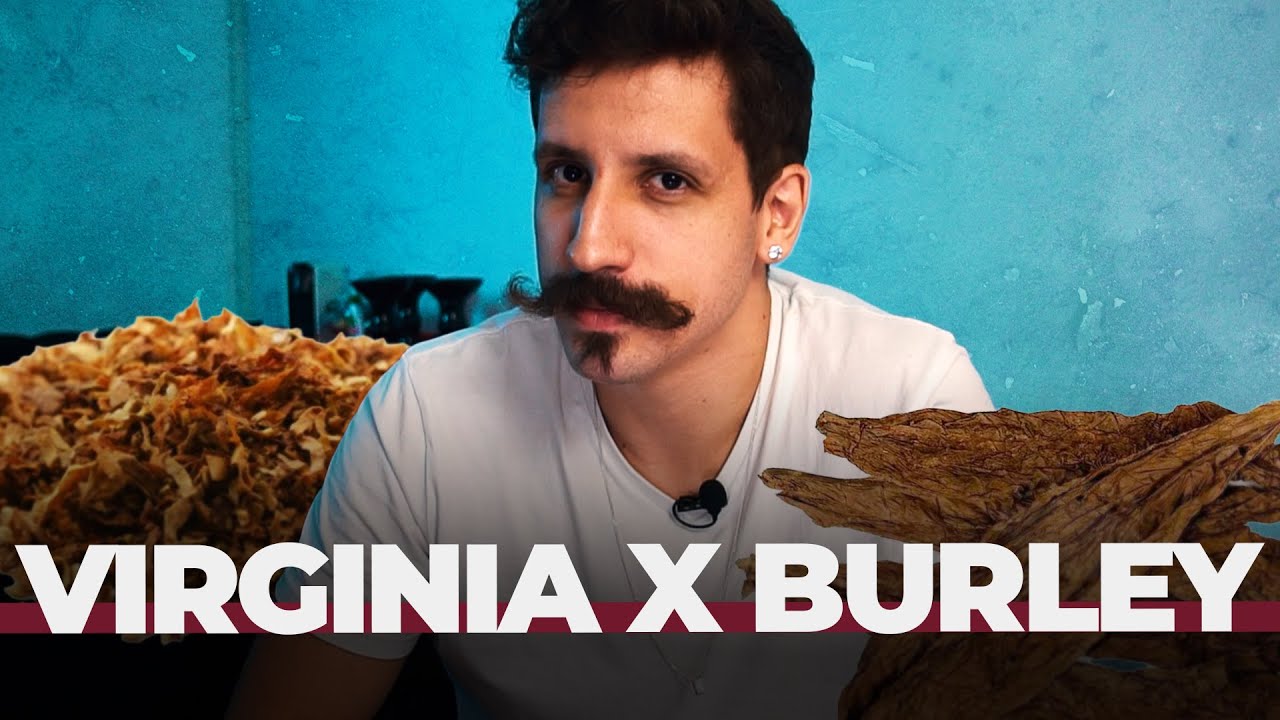 GOLD X BURLEY: QUAL A DIFEREN&Ccedil;A? [+18]