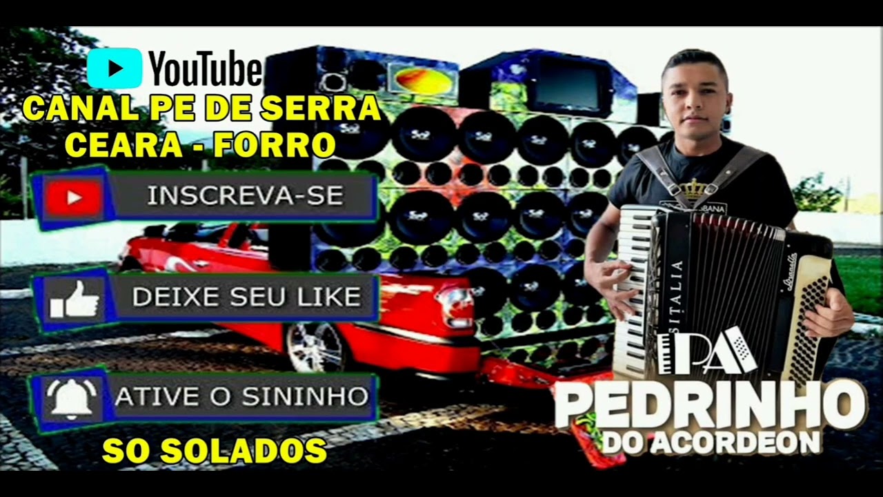 PEDRINHO DO ACORDEON SO SOLADOS