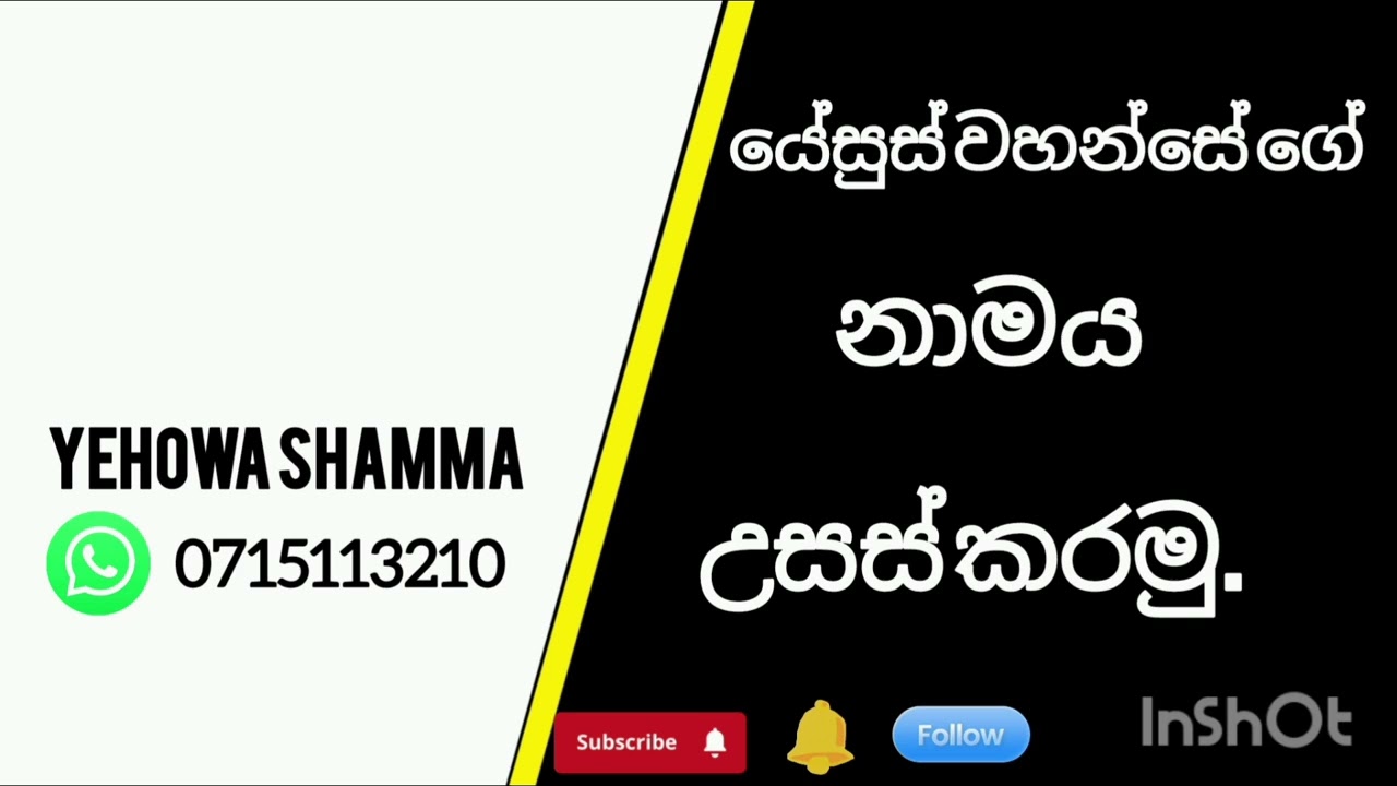 3 March 2026