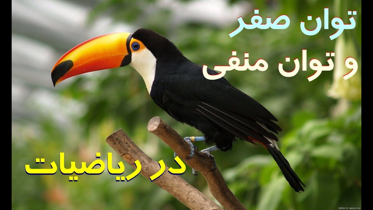 توان صفر و توان منفی در ریاضیات