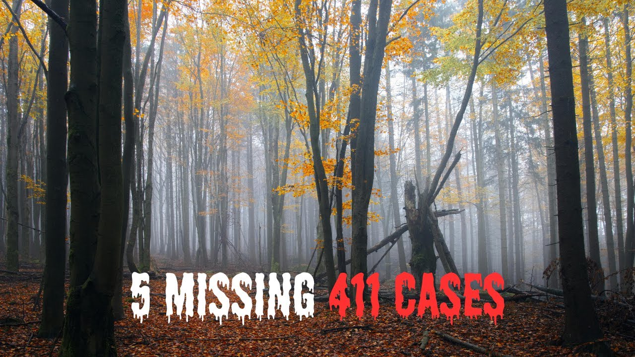 5 TRUE Missing 411 Cases