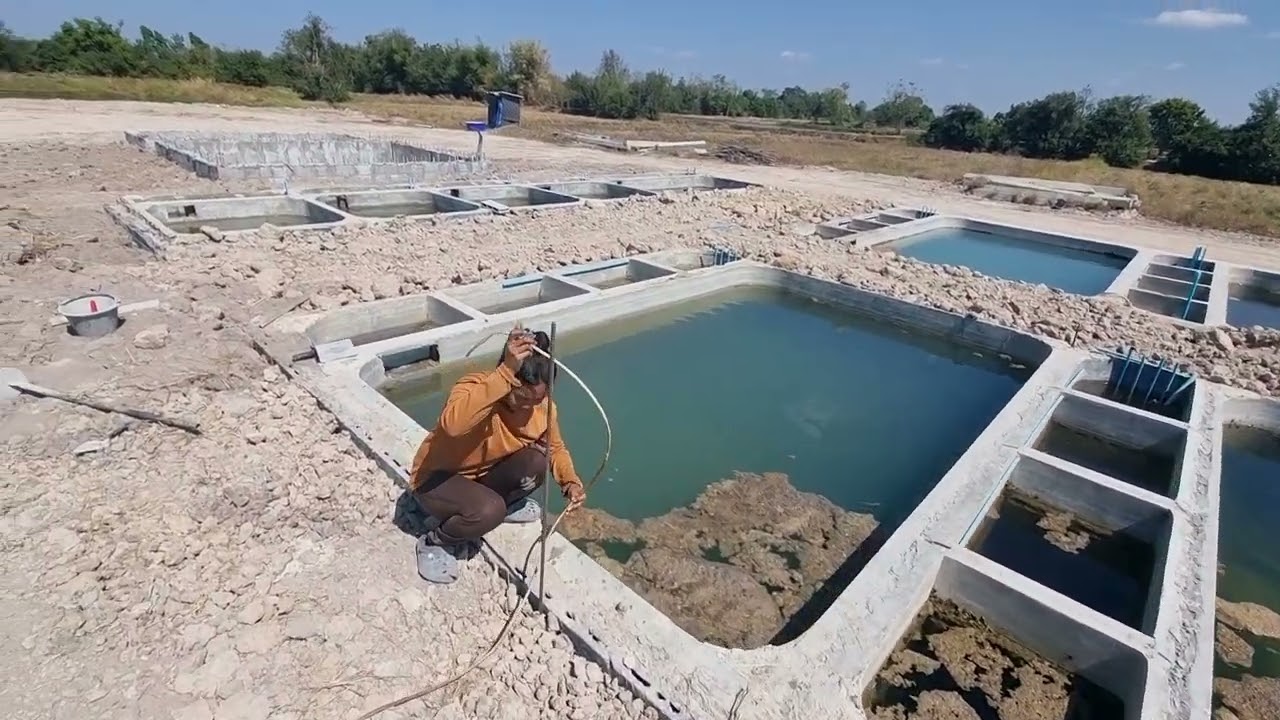 #ฟาร์มปลาคาร์ฟแห่งใหม่ชลบุรี ไปRayong koi fish farm. N0.2