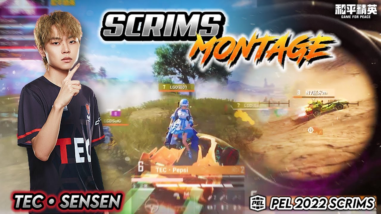 TEC Shen Sensen PEL Scrims Montage 🔥