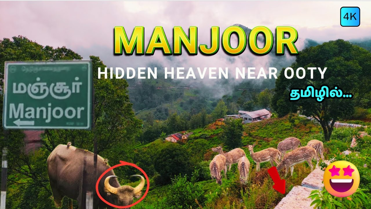 PART 2 - ⚠️அபாயகரமான காட்டு வழியும் , ஒளிந்திருக்கும் இயற்கை பேரழகும் 😍 ! Geddhai to Manjoor Forest😳
