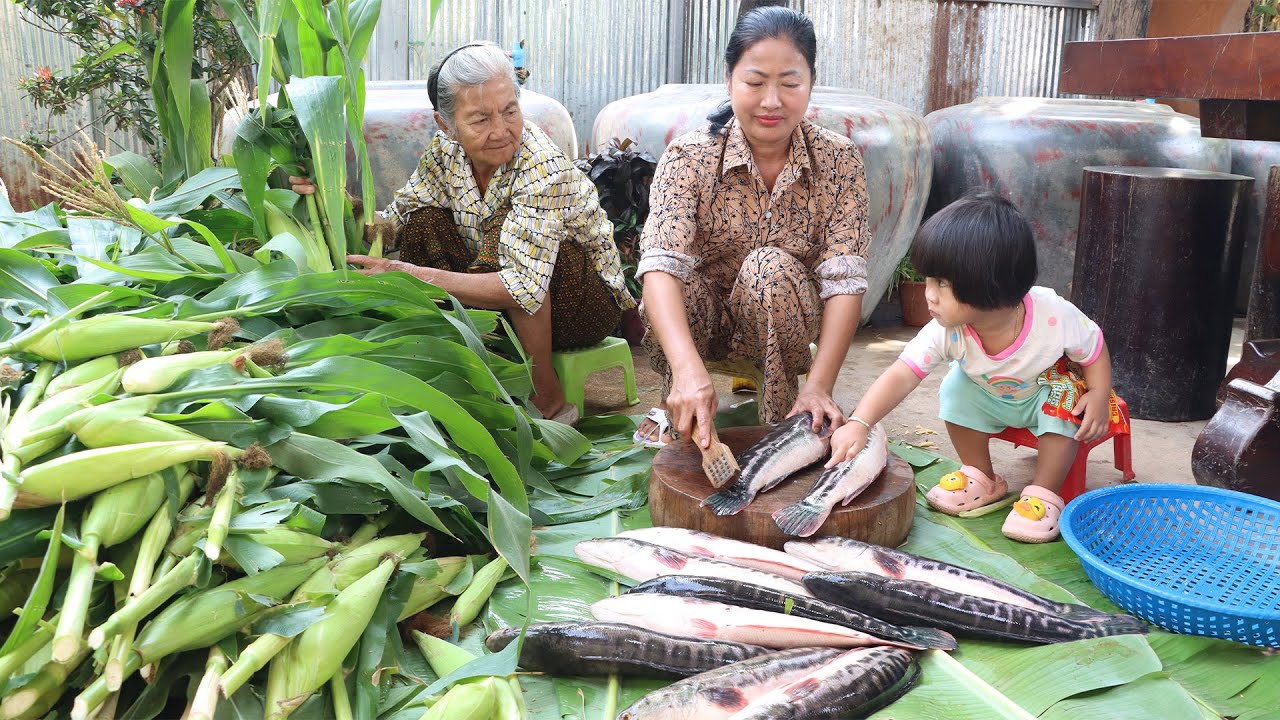 Sreypov Life Show: Harvest corn from backyard and cooking | Snakehead fish cooking