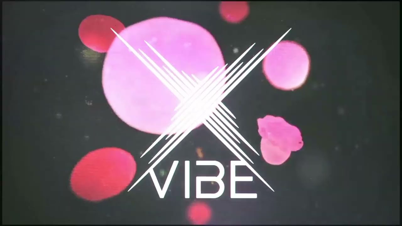 Tech-House Vibes #1 Mix 2024 | VibeX