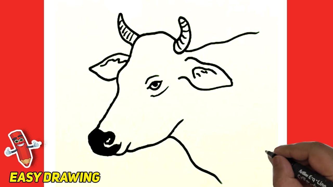 How to draw a Cow face / Cow head easy and step by step | Cow face / Cow head outline illustration