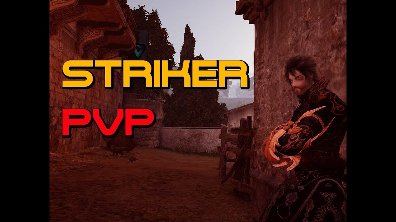 PvP Striker Guide | Black Desert Online