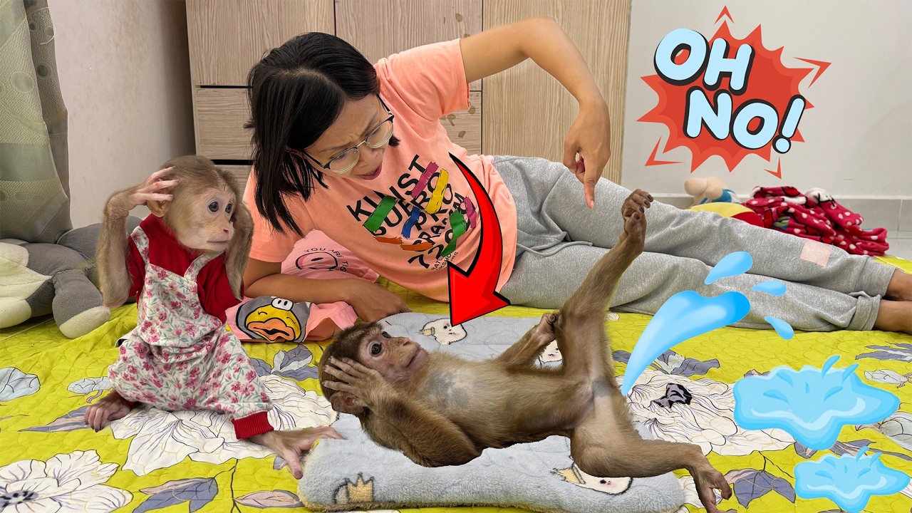 Mom panics when she sees Lucky doing this on the bed!
