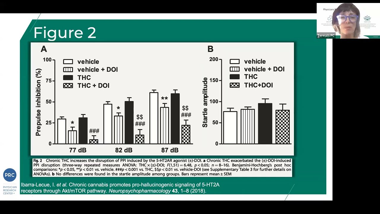 Cannabis and 5-HT2A Pathways in Basic Research - Cerium Journal Club November 2026
