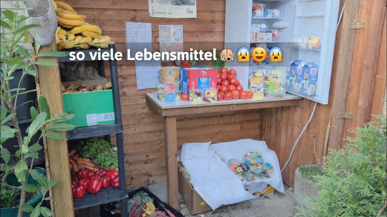 Wochenrückblick = zu viele Lebensmittel gerettet, und viele glücklich gemacht 🥰