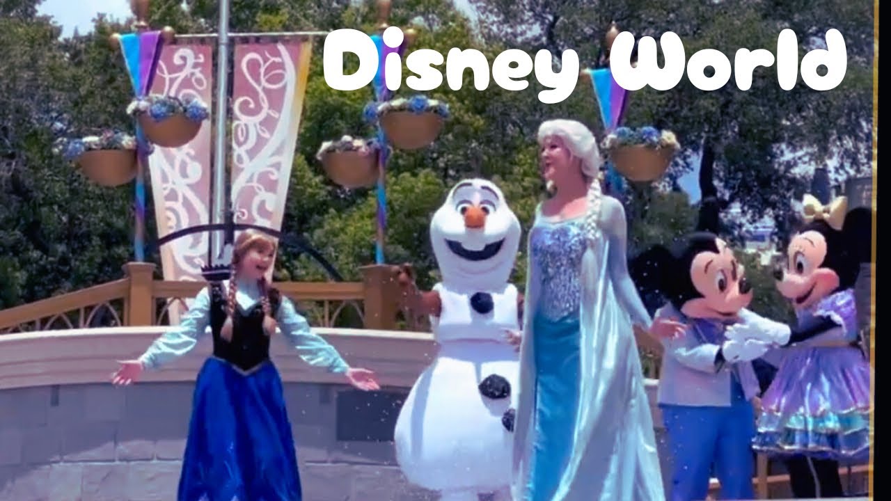 Mickey Mouse, Minnie Mouse, Donald Duck, Daisy, Olaf, Elsa, Anna, Rapunzel & more Disney World |