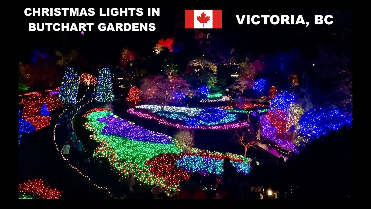 🇨🇦[4K] Christmas Lights At The Butchart Gardens, Victoria, BC, Canada