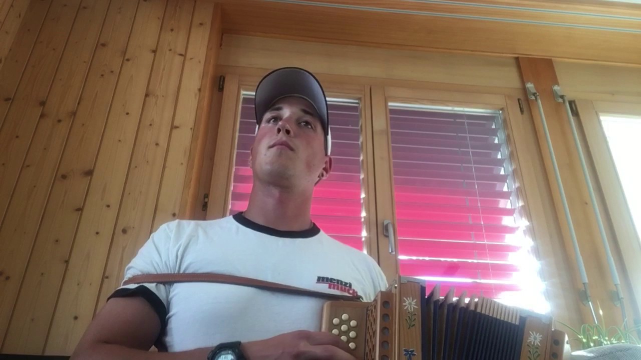 Schwyzerörgeli-Cover   Schwan (Gölä) Heimweh (Plüsch)