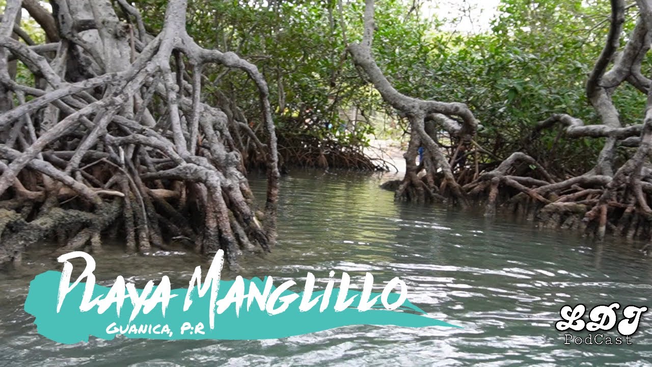 Visitamos Playa Manglillo , Guanica P.R.