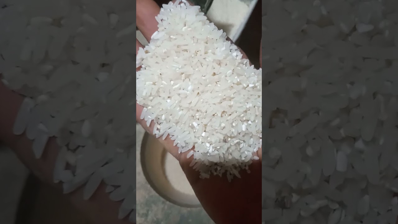Proses giling padi Lur 😊 #rice #ricemill #riceprocessing #ricepolisher #gilingpadi 