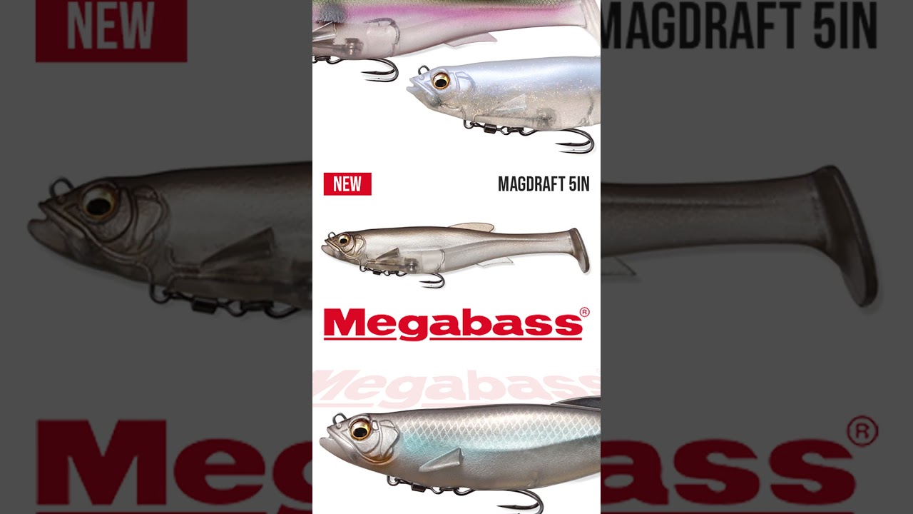 Megabass Magdraft 5” is HERE | Fall Swimbait Tips for More Bites