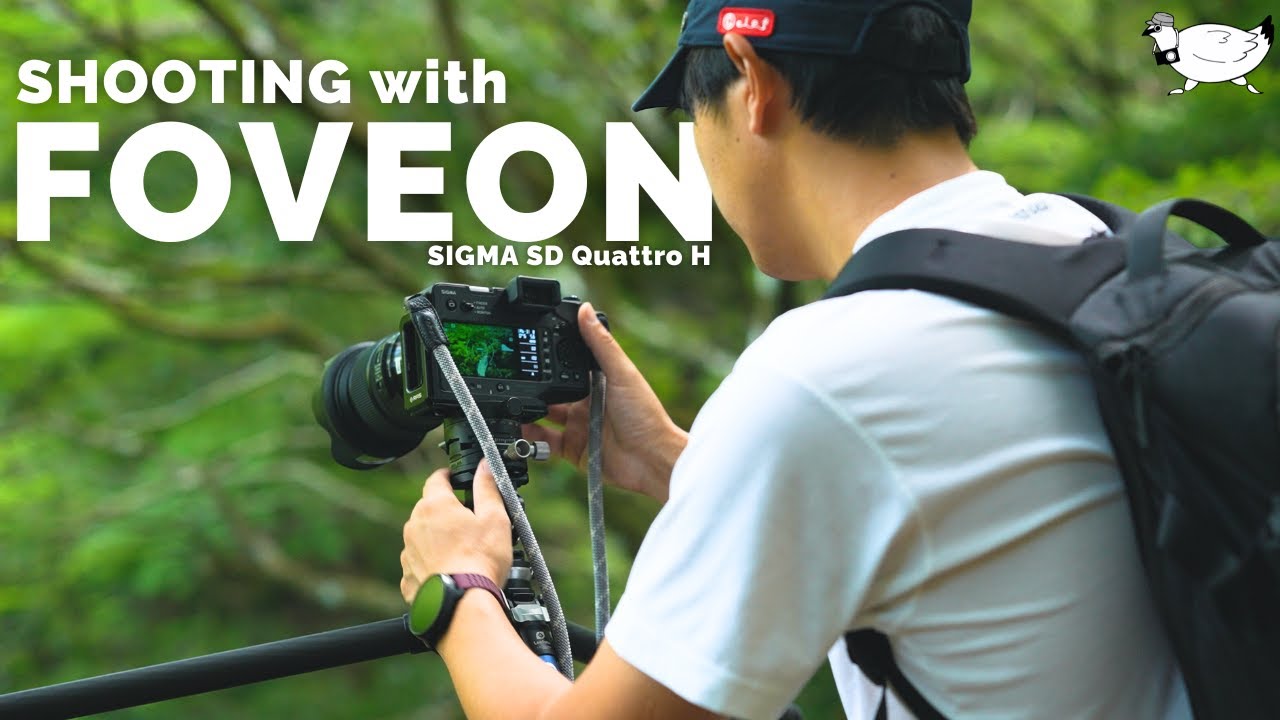 SHOOTING with FOVEON | SIGMA sd Quattro H