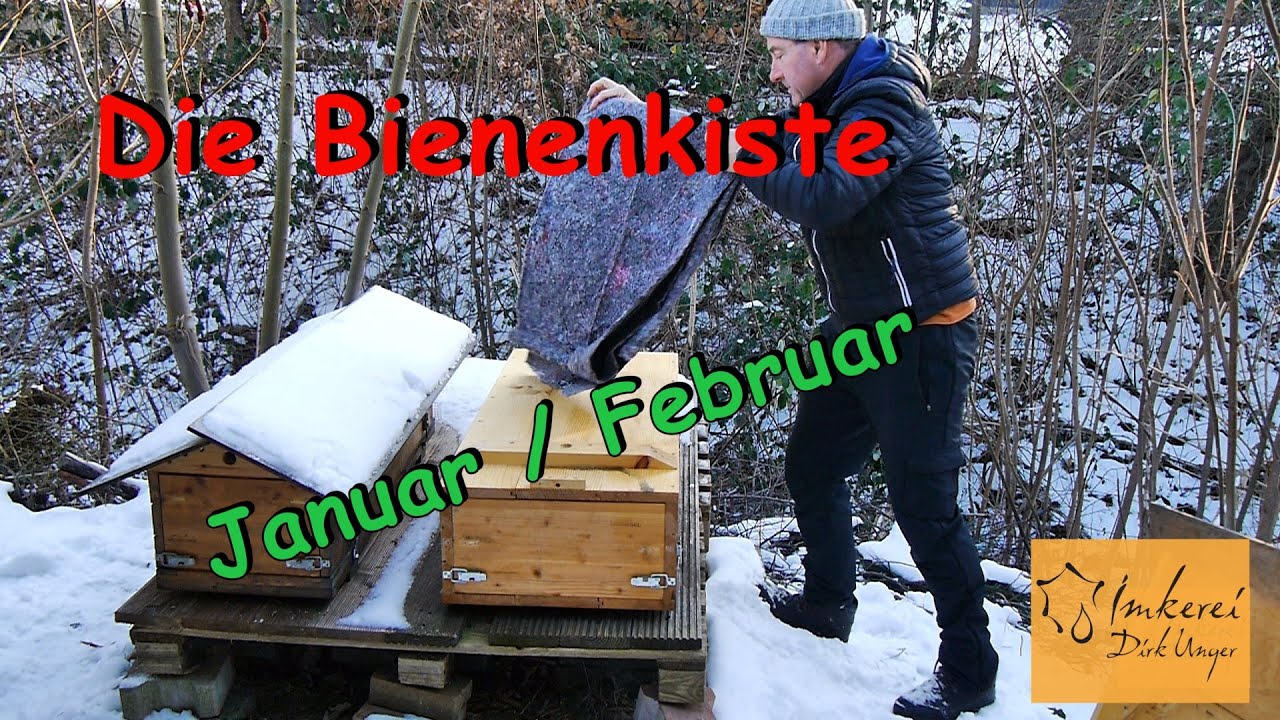 Bienenkiste im Januar/ Februar 