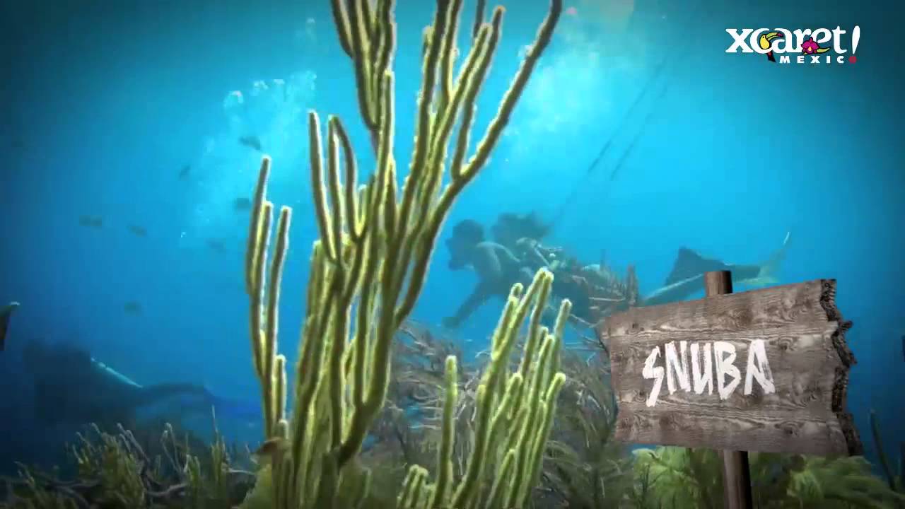 Optional Activities | Xcaret M&eacute;xico! Cancun Eco Park
