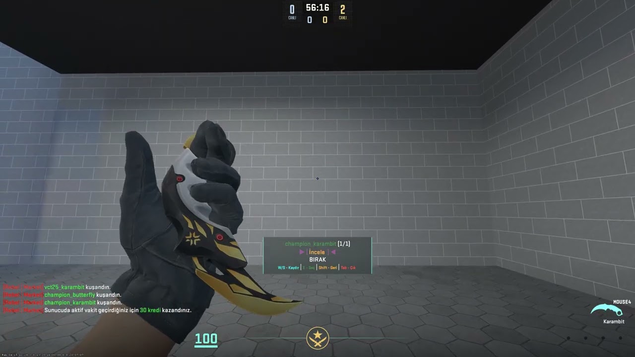 Counter strike 2 Valorant Modelleri