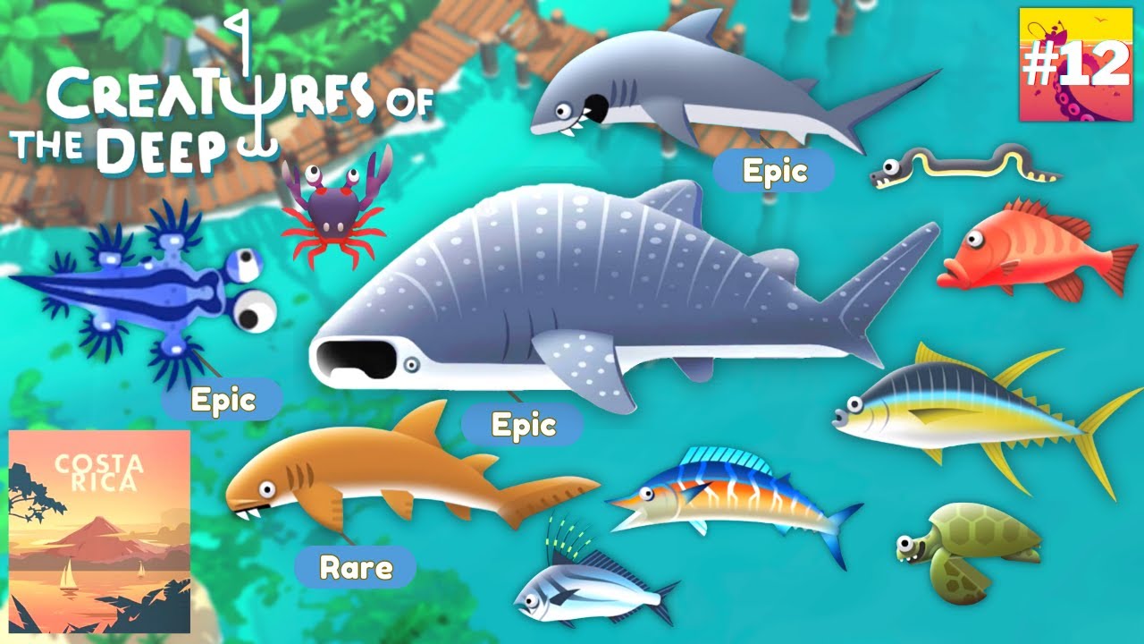 Creatures Of The Deep : Fishes and Creatures in Costa Rica