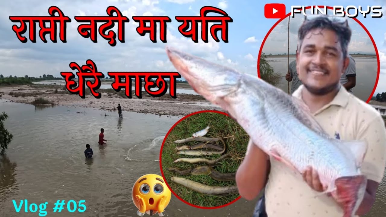 राप्ती नदीमा यति धेरै माछा l Fishing at rapti River l FISHING l  FISH l RAPTI