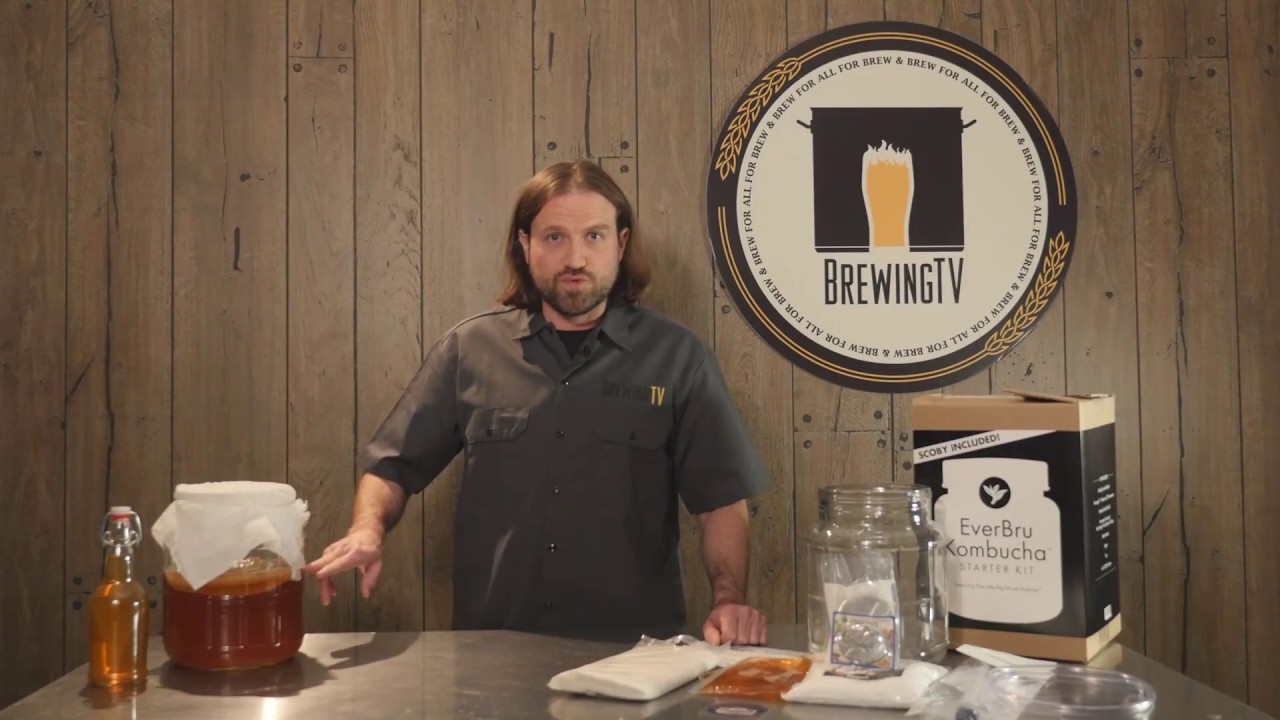 EverBru Kombucha™ Starter Kit - Make Kombucha at Home EASY