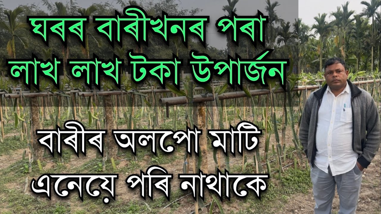 ঘৰৰ বাৰীখনৰ পৰা লাখ লাখ টকা উপাৰ্জন HOME FARMING IDEAS।Most profitable farming ideas  #farming 