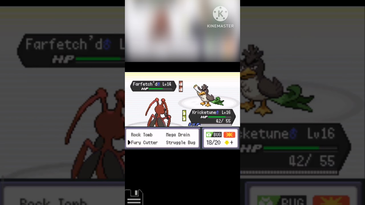 how to defeat falkner in radical red v4.0#pokemoncheatcodes #pokemonradicalred #falkner