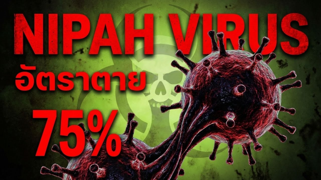 ไวรัสนิปาห์ (Nipah Virus) คืออะไร? อัตราตาย 75% และยังไม่มีวัคซีนป้องกัน!