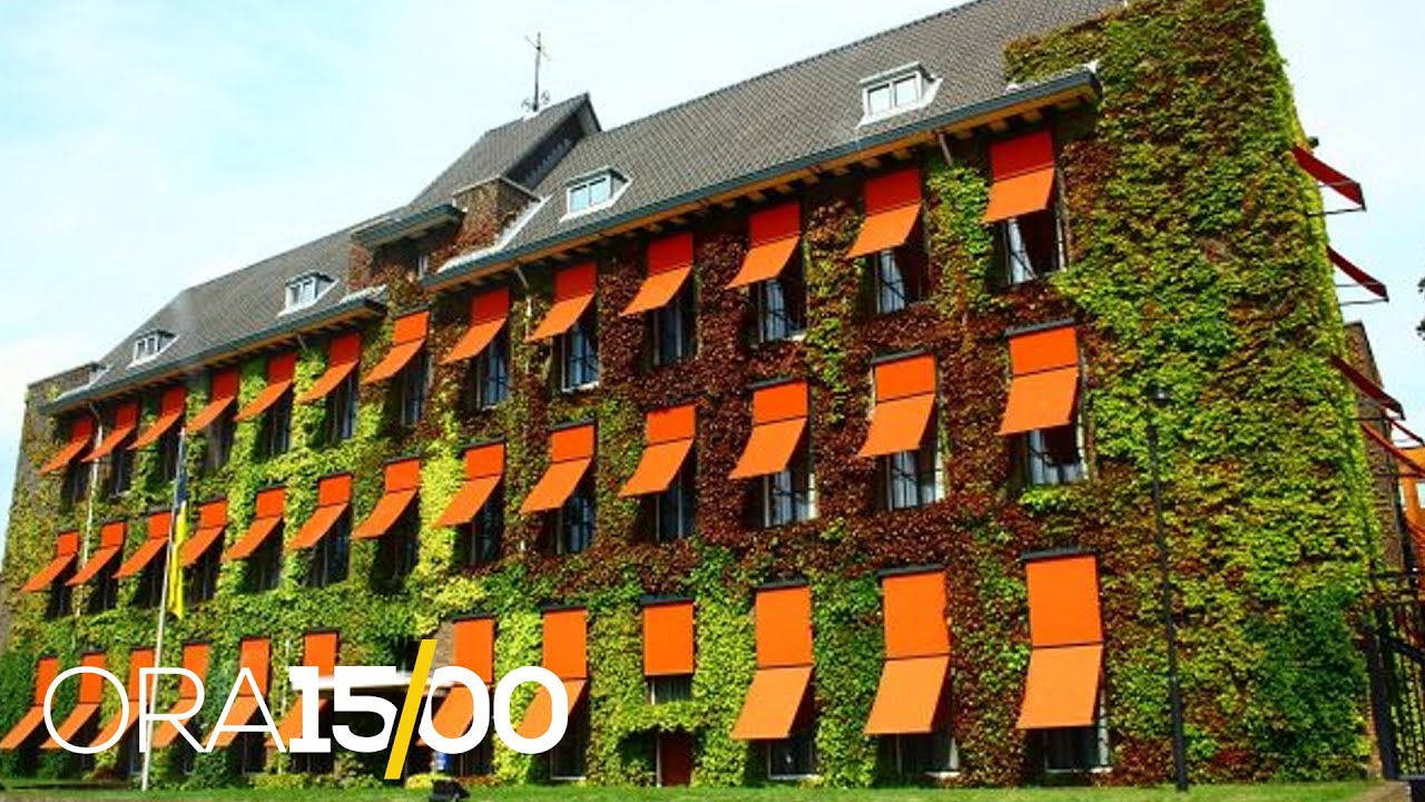 Gjykata Speciale  Shala, Smakaj e Fazliu lirohen me kusht