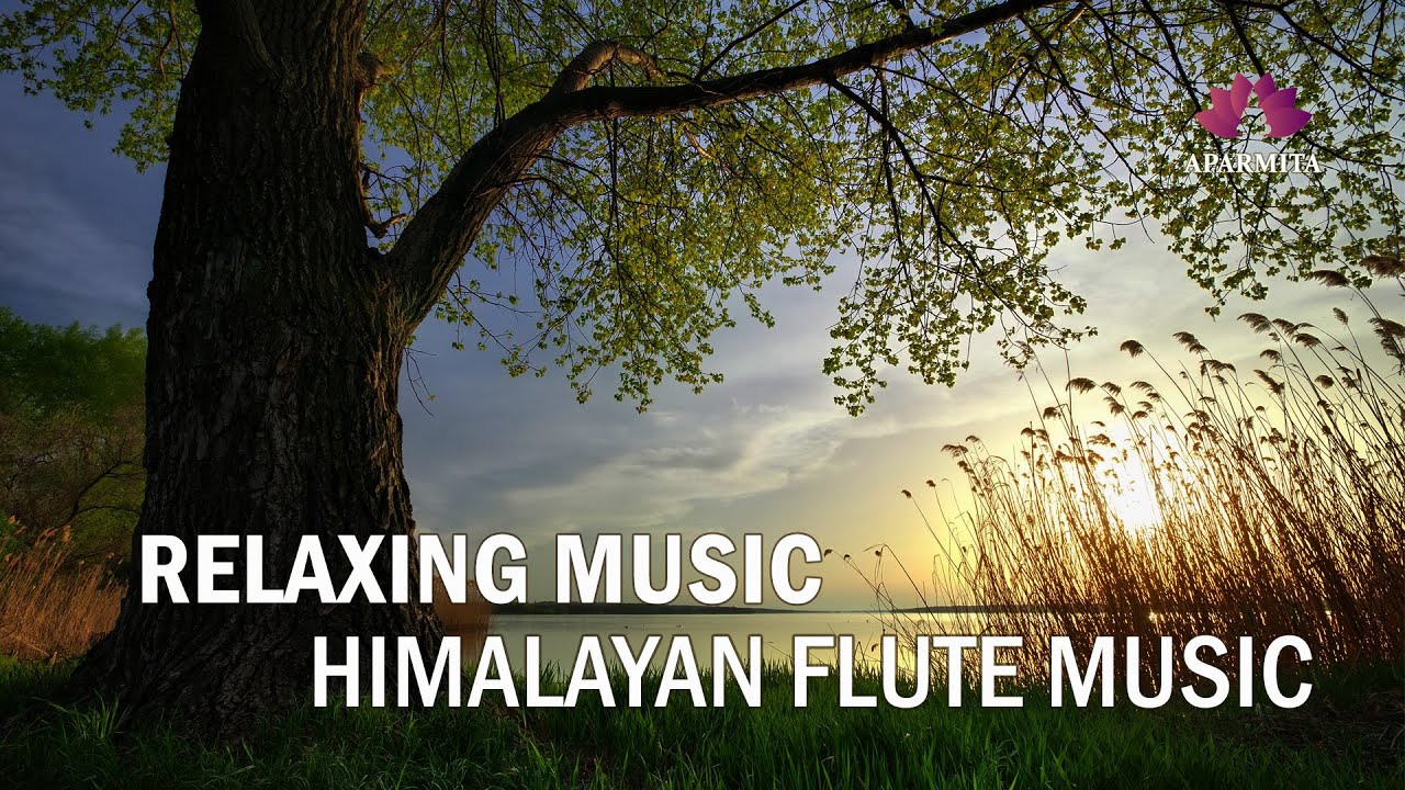 Relaxing Music | Himalayan Flute Music | Flute Music | (बाँसुरी) Aparmita Ep. 109