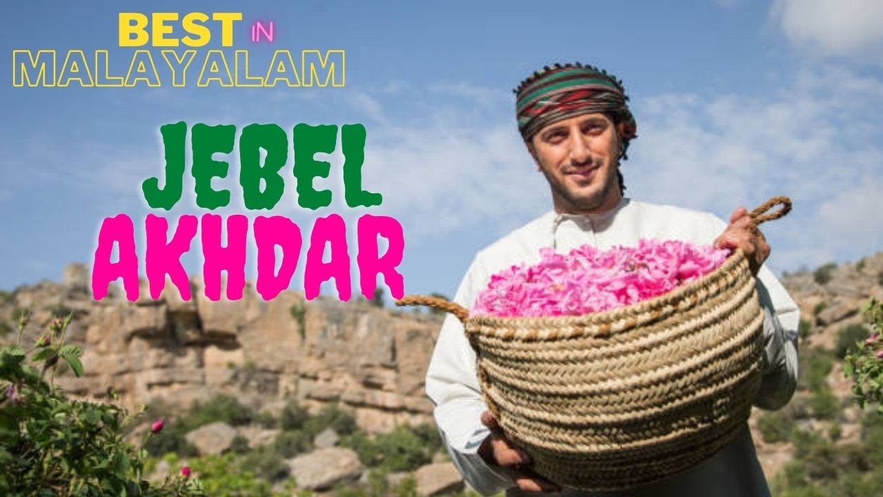 JABAL AKHDAR MALAYALAM l POMEGRANATE FARM l JABAL AKTHAR l FARM l OMAN VLOG l ROSE GARDEN OMAN l