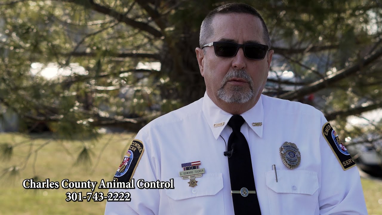 Your Charles County - Charles County Animal Control