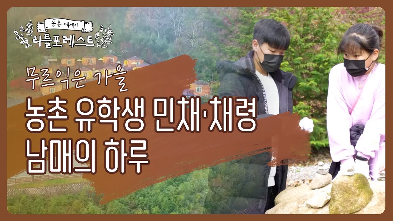농촌유학ㅣ[농촌 에세이, 리틀포레스트] 자연과 친구가 된 농촌 유학생🌱