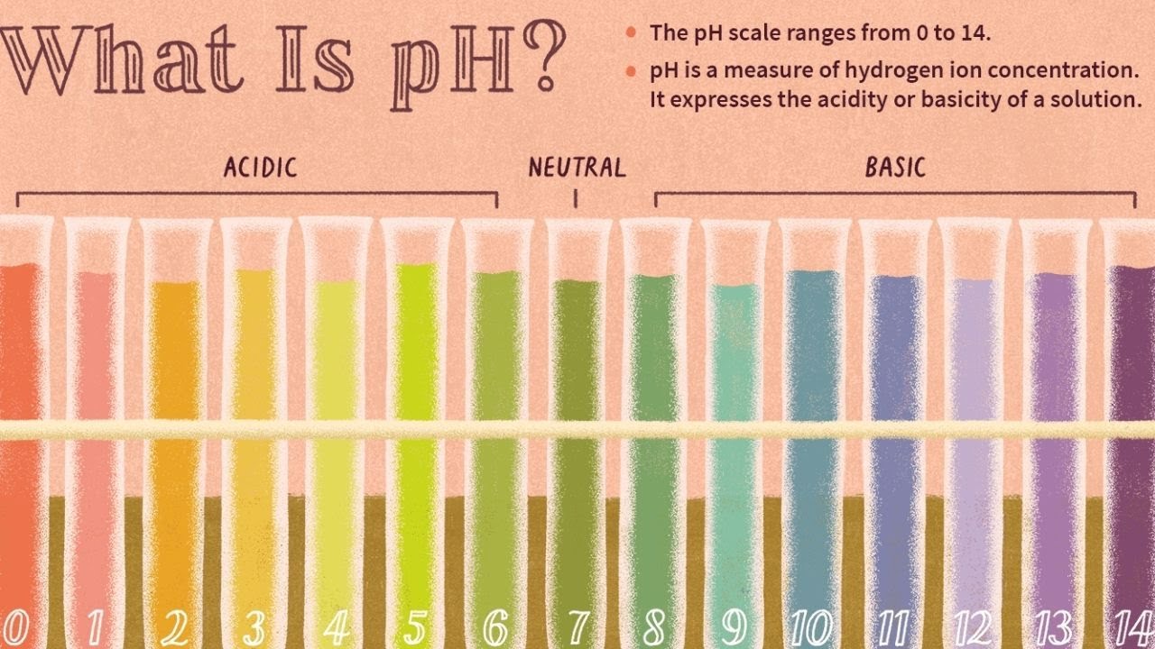 What You Need To Know About pH Measuring And Adjustment | Cosmetic Formulating