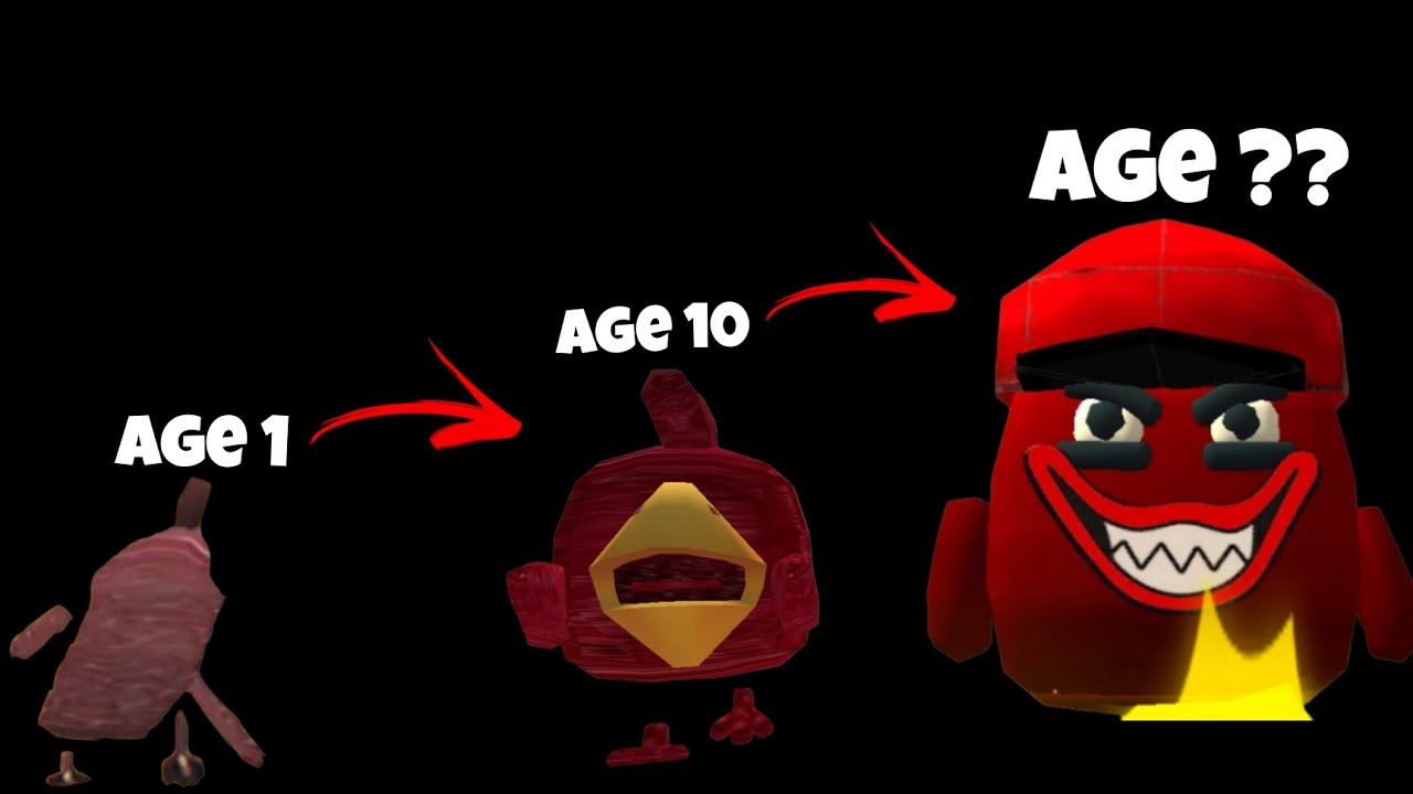😨 evolution of meat chicken!!