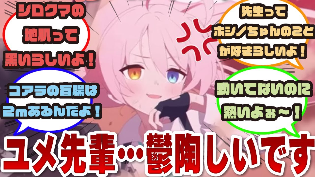 毎晩ホシノの枕元にユメ先輩が現れては、クッソどうでもいい豆知識を言ってくる世界線に対する先生方の反応集【ブルアカ/まとめ/反応集】
