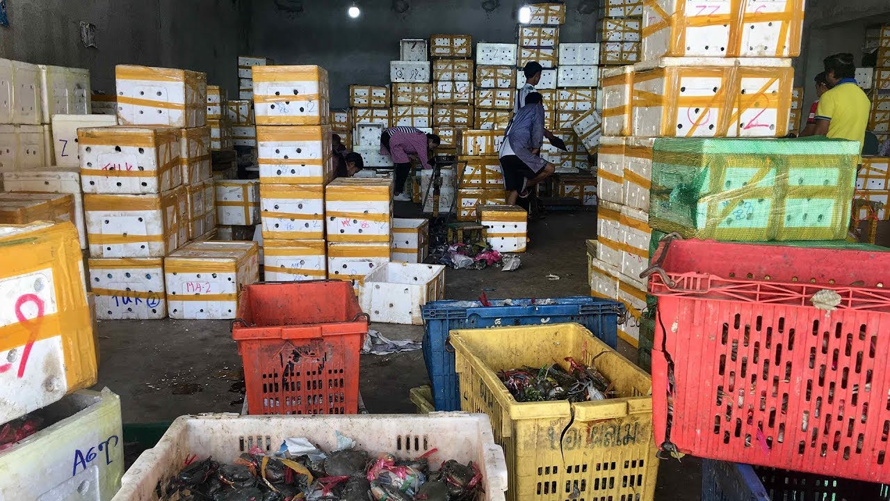 BRI Projects: China-Myanmar trade expected to grow further