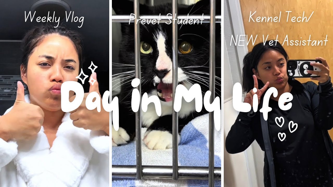 Day in My Life | NEW Vet Assistant & ER Kennel Tech | Balancing Work, School & Everything In Between