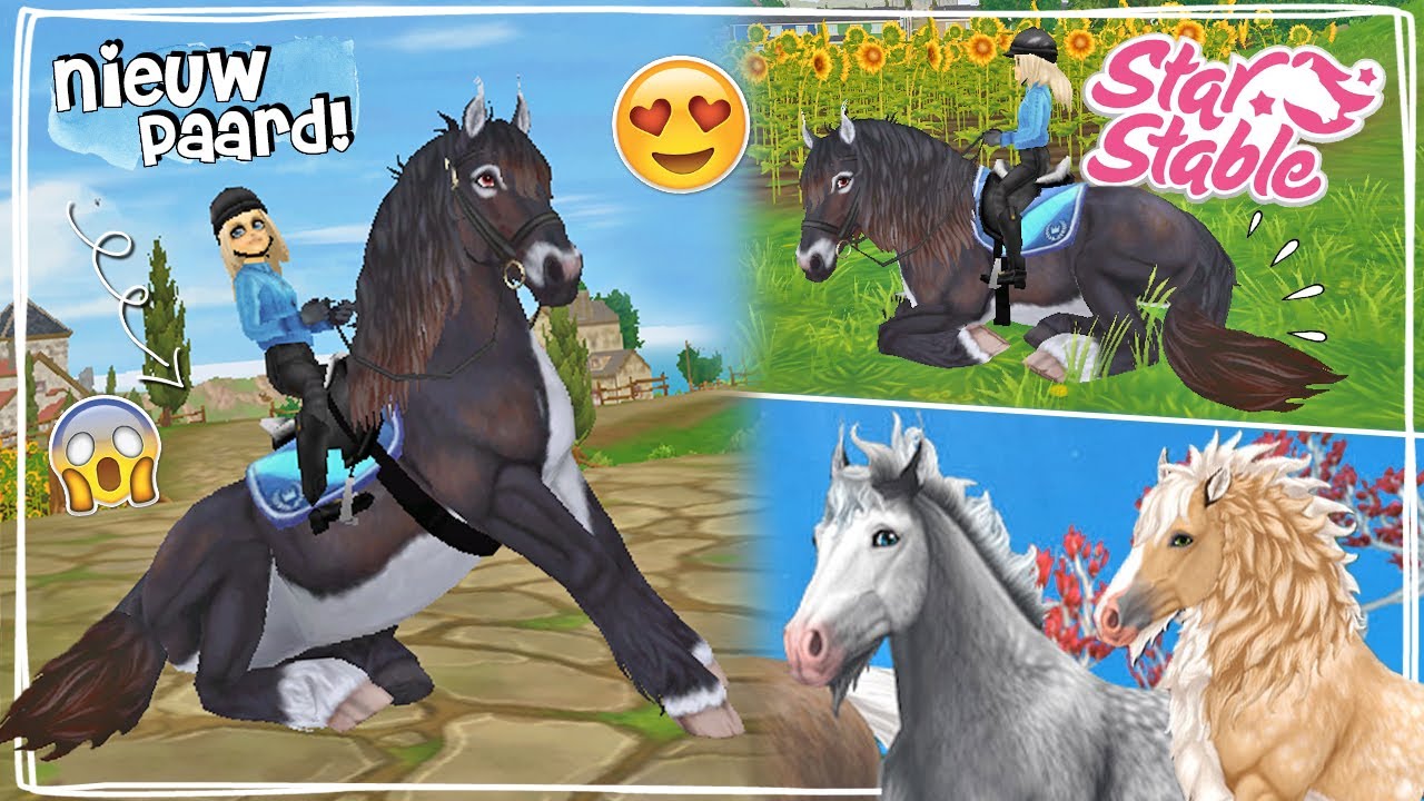NIEUW WILD PAARD KOPEN & HIJ KAN LIGGEN EN ZITTEN! 😍 - Update | Star Stable | Daphne draaft door