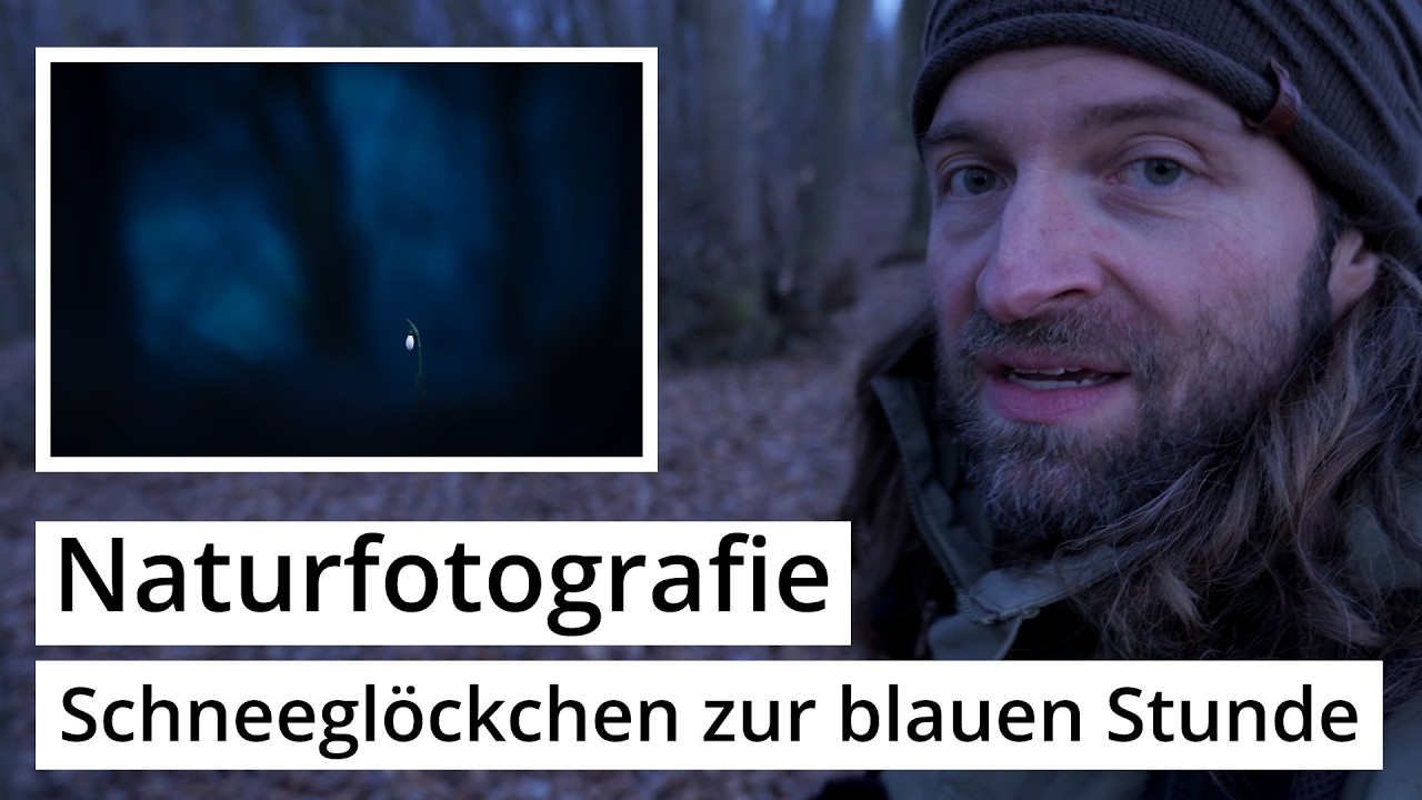 Naturfotografie: SCHNEEGLÖCKCHEN in der BLAUEN STUNDE | Adios WINTER? Hallo VORFRÜHLING!