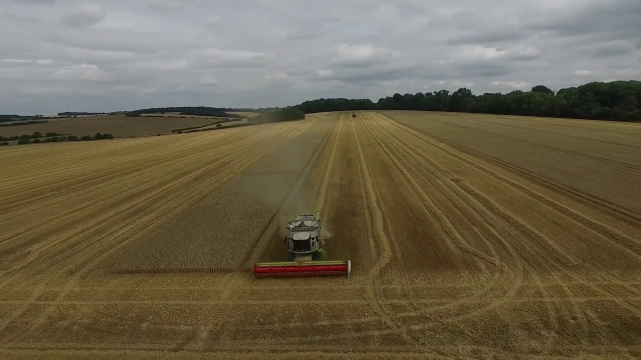 Graveley Harvest 2018