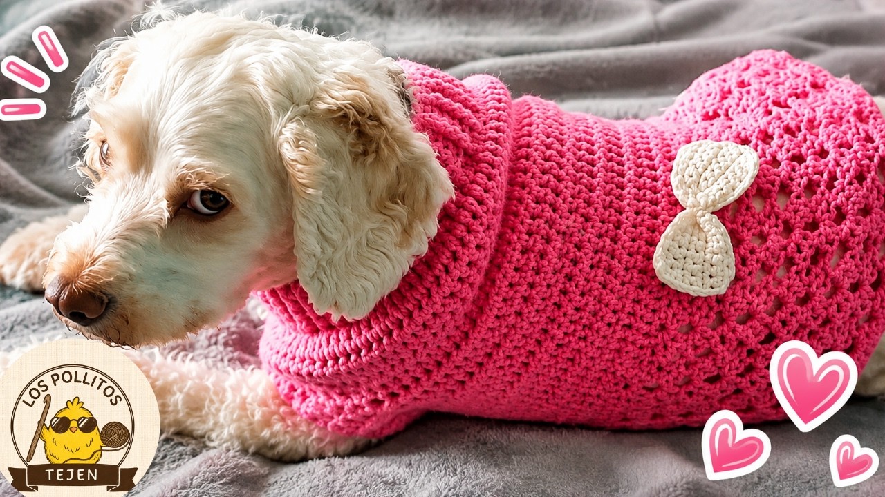 VESTIDO PARA PERRITA O GATITA TEJIDO A CROCHET #2