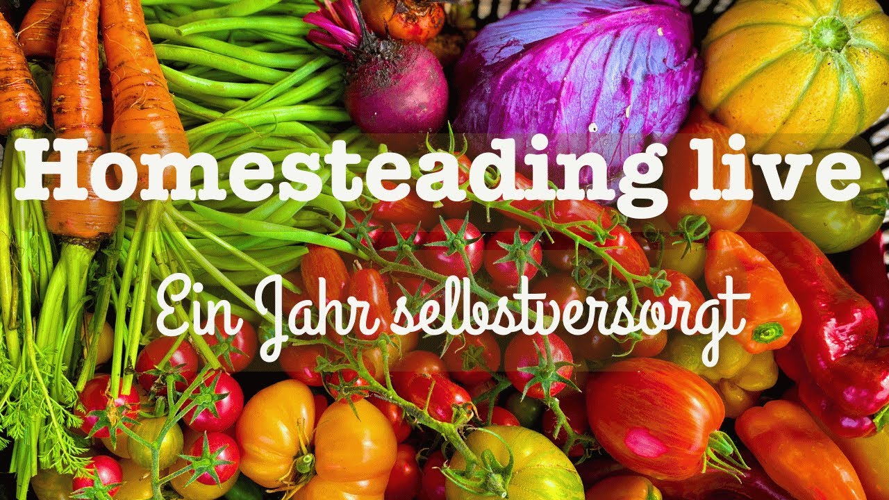 # 96 🌼👩‍🌾 Ein Jahr Selbstversorger 🌱🥕🍅 Die Ernte eines ganzen Jahres im Selbstversorger Garten