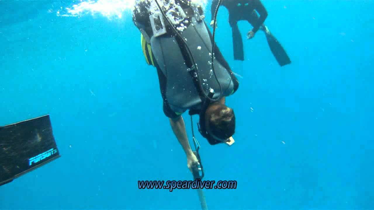 Spearfishing Isla De Pinos, Cuba Pesca Submarina