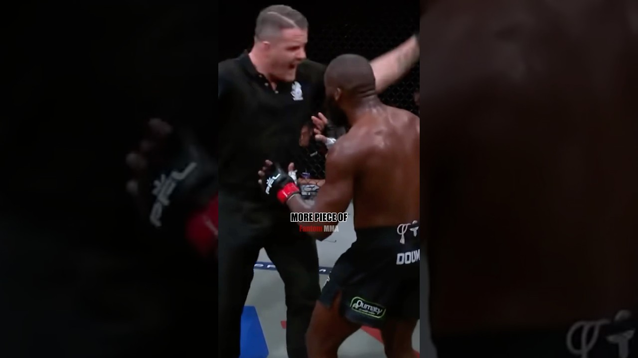 The Craziest Referee Stoppage In MMA History