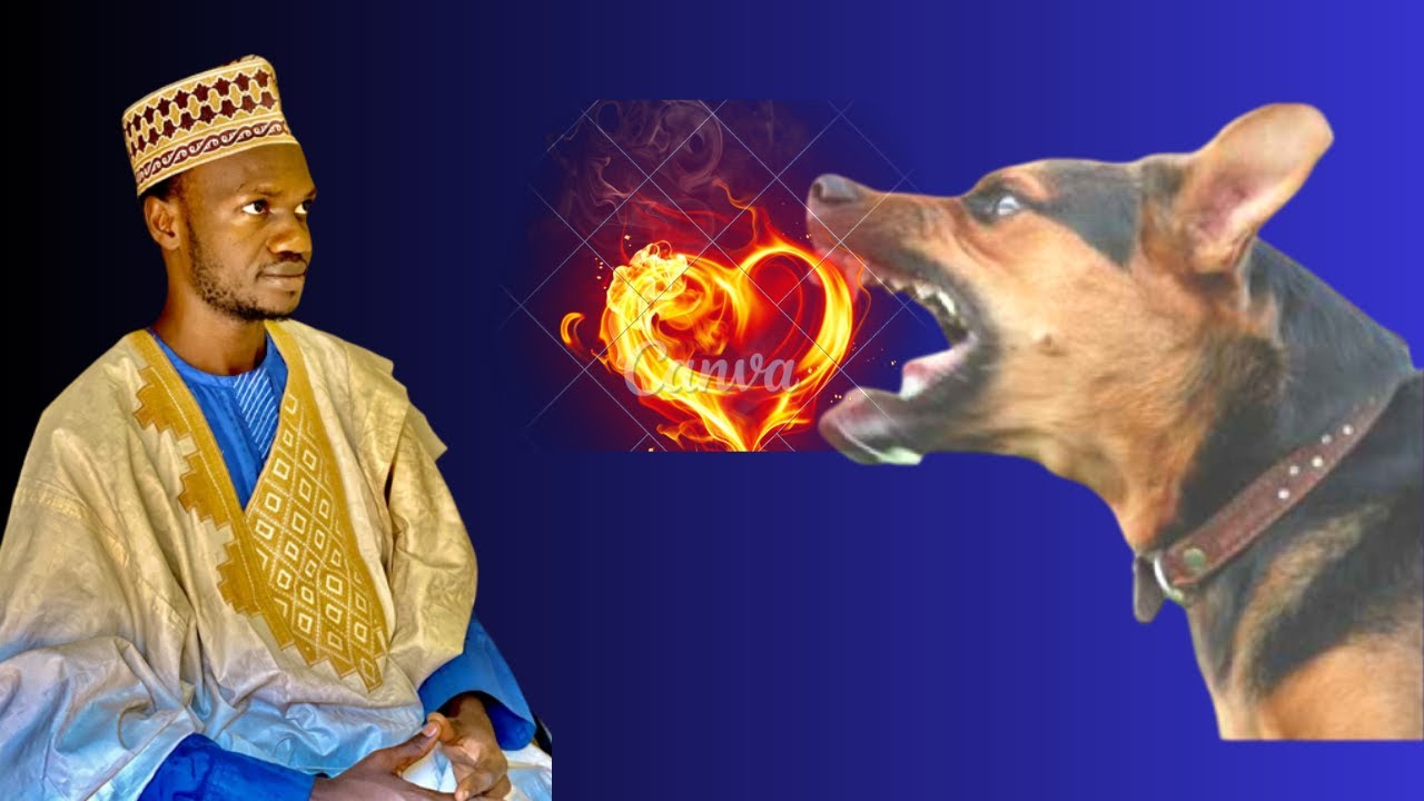 HAUSHIN KARE A MAFARKI AKWAI BAN TSORO